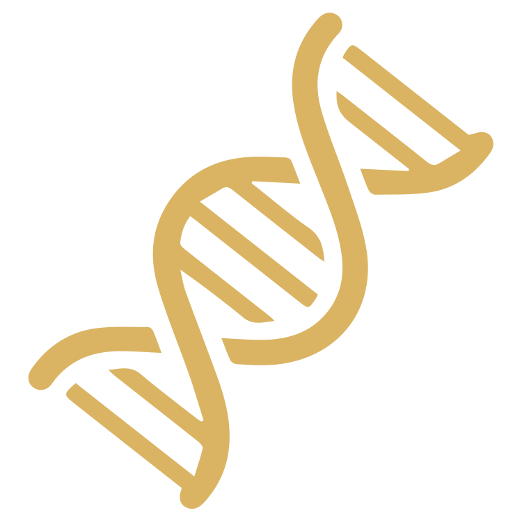 蜂胶DNA指纹图谱技术